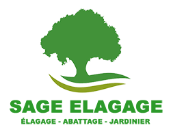  SAGE Antonio Elagage 37