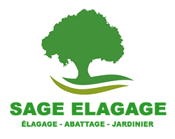 SAGE Antonio Elagage 37